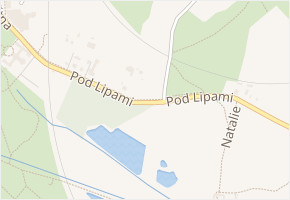 Pod Lipami v obci Františkovy Lázně - mapa ulice