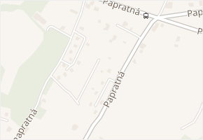 Papratná v obci Frenštát pod Radhoštěm - mapa ulice