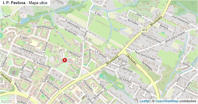 I. P. Pavlova - mapa ulice