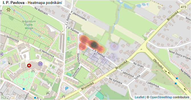 I. P. Pavlova - mapa podnikání