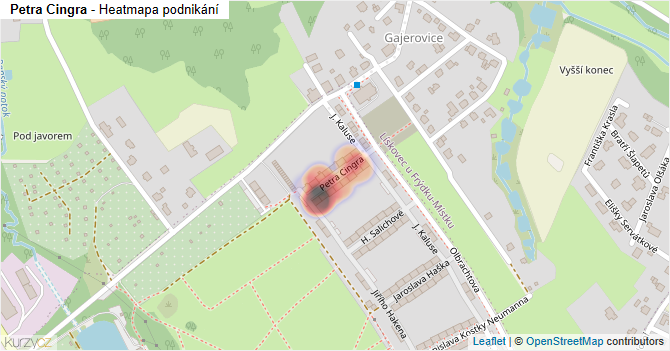Petra Cingra - mapa podnikání