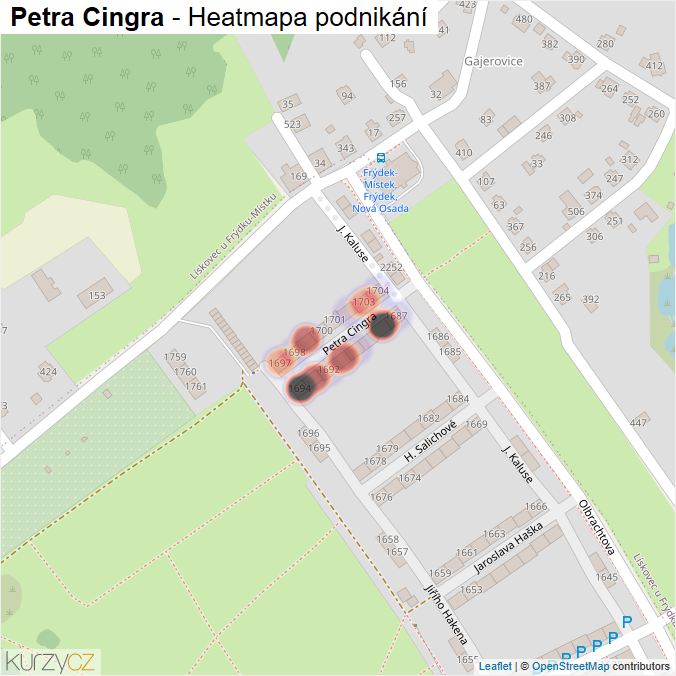 Mapa Petra Cingra - Firmy v ulici.