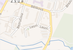 Lesní v obci Frýdlant - mapa ulice