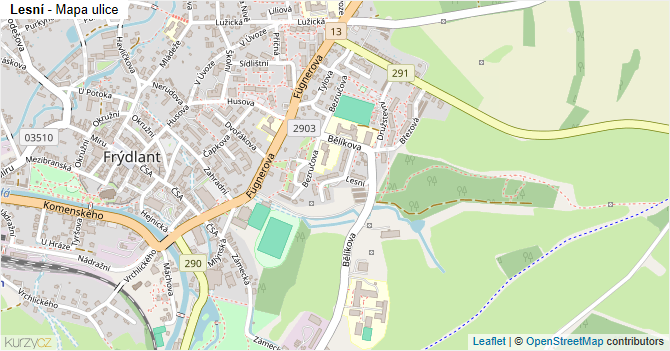 Lesní - mapa ulice