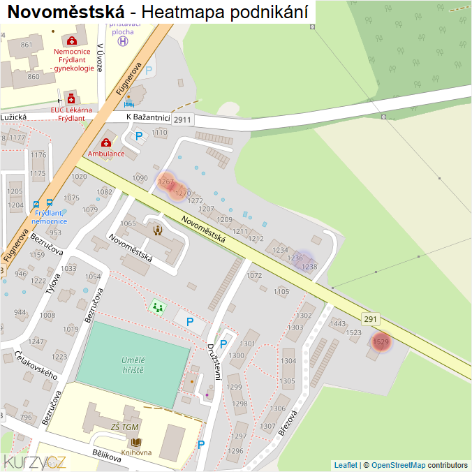 Mapa Novoměstská - Firmy v ulici.