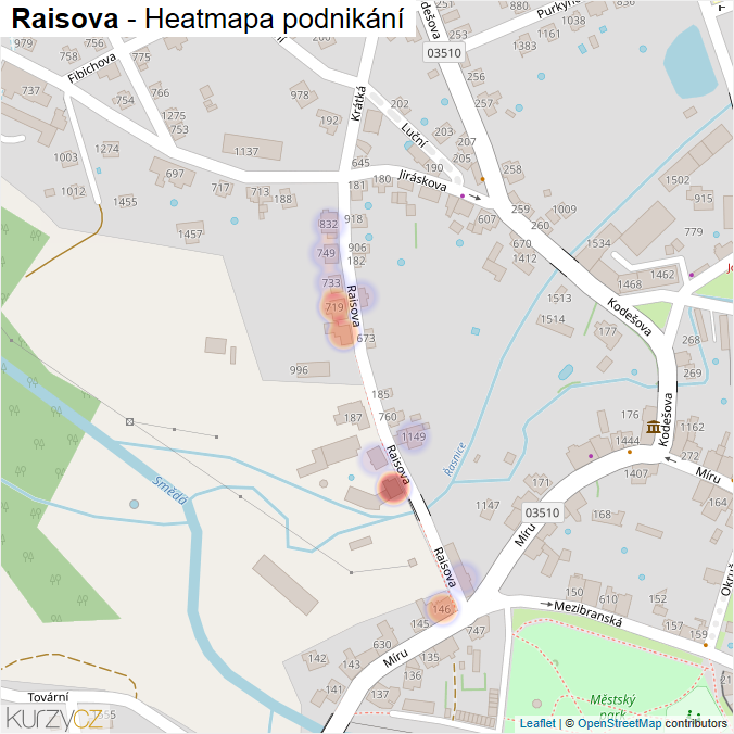 Mapa Raisova - Firmy v ulici.