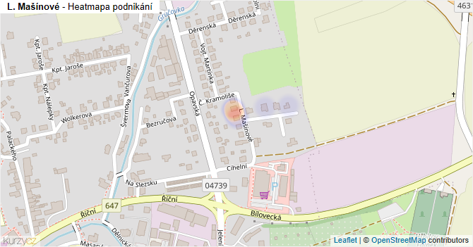 L. Mašínové - mapa podnikání