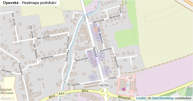 Opavská - mapa podnikání