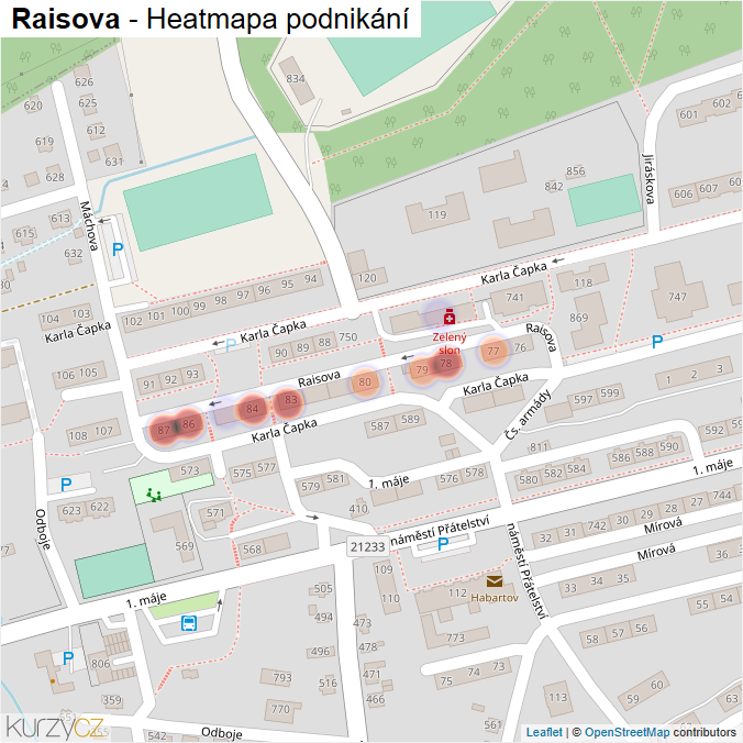 Mapa Raisova - Firmy v ulici.
