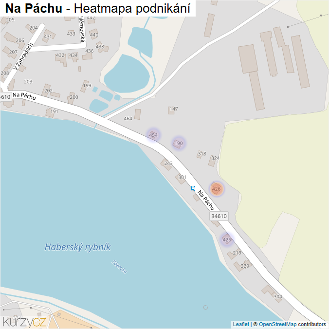 Mapa Na Páchu - Firmy v ulici.