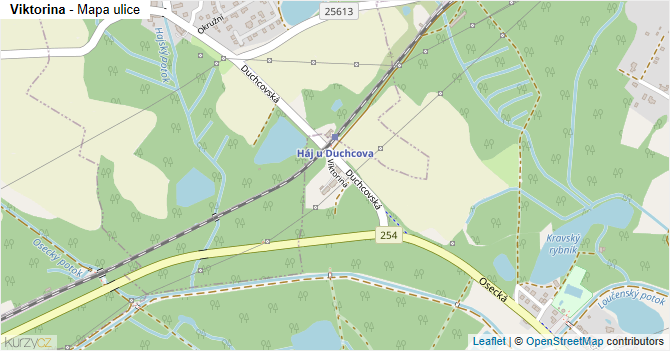 Viktorina - mapa ulice