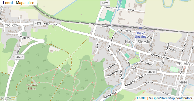 Lesní - mapa ulice