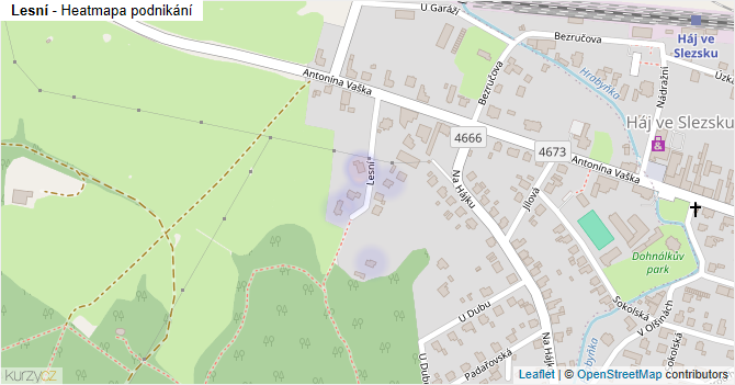 Lesní - mapa podnikání