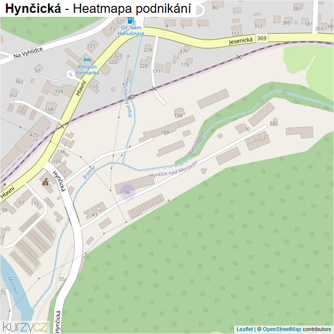 Mapa Hynčická - Firmy v ulici.