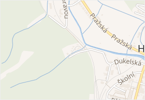 Na Vinici v obci Hanušovice - mapa ulice