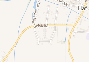 Prostřední v obci Hať - mapa ulice
