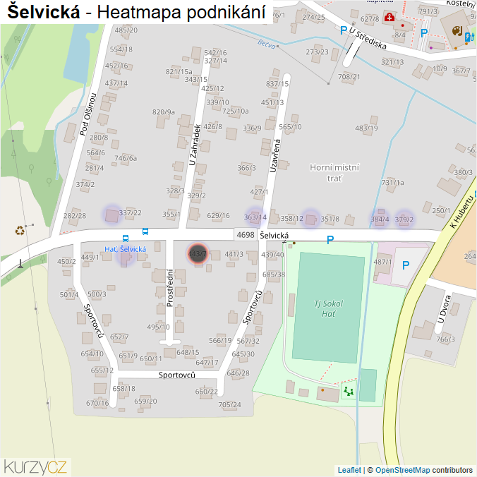 Mapa Šelvická - Firmy v ulici.