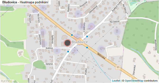 Bludovice - mapa podnikání