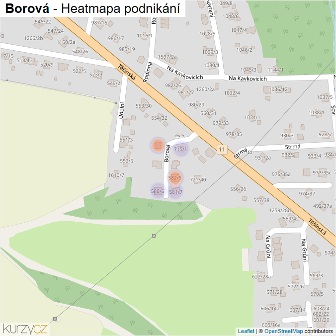Mapa Borová - Firmy v ulici.