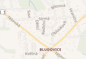Radliční v obci Havířov - mapa ulice