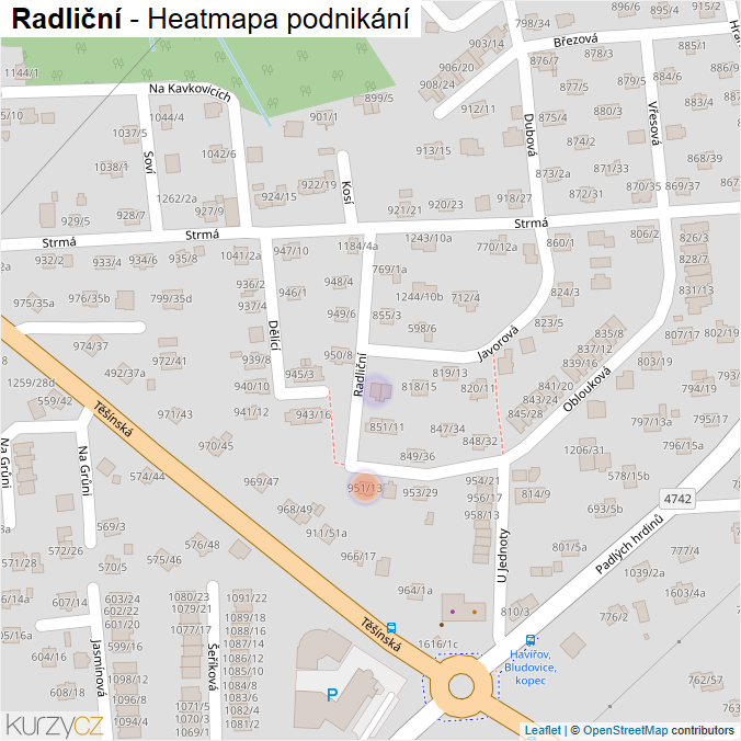 Mapa Radliční - Firmy v ulici.