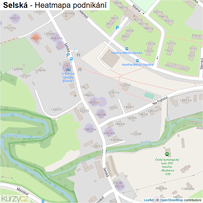 Mapa Selská - Firmy v ulici.