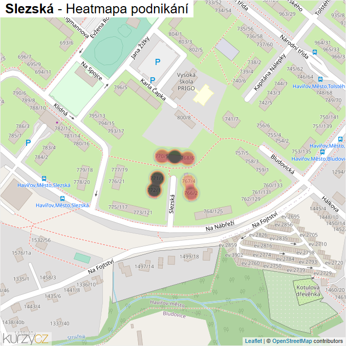 Mapa Slezská - Firmy v ulici.