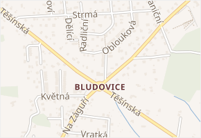 U Jednoty v obci Havířov - mapa ulice