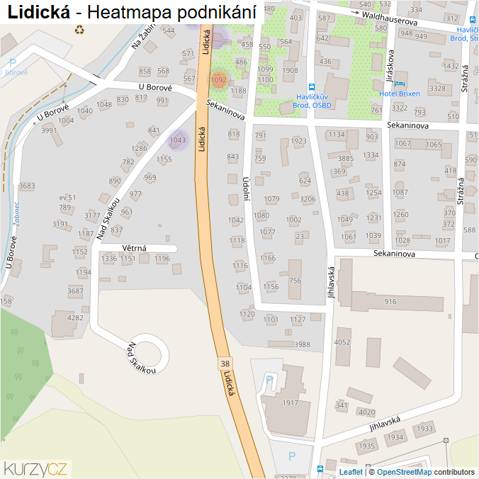 Mapa Lidická - Firmy v ulici.