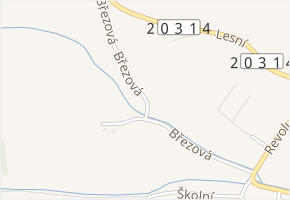 Březová v obci Heřmanova Huť - mapa ulice