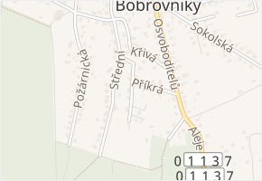 Na Důlkách v obci Hlučín - mapa ulice