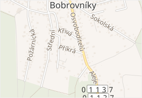 Příkrá v obci Hlučín - mapa ulice
