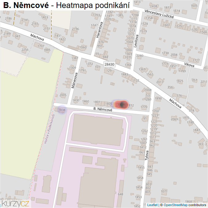Mapa B. Němcové - Firmy v ulici.