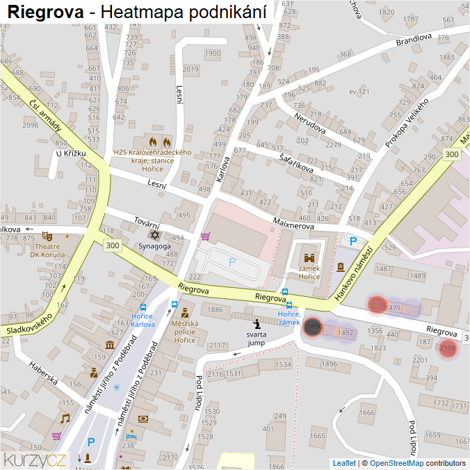 Mapa Riegrova - Firmy v ulici.