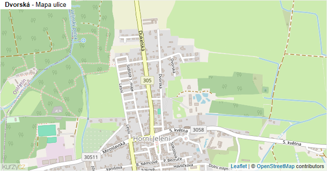Dvorská - mapa ulice