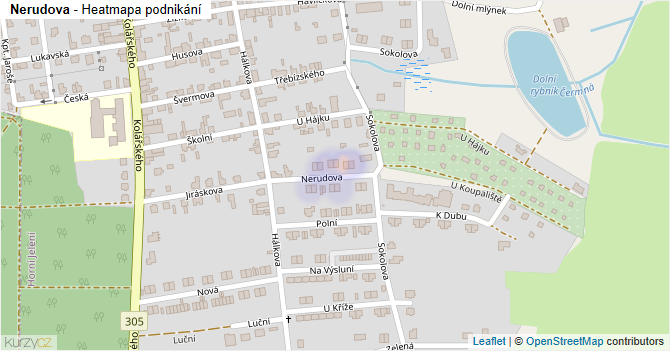 Nerudova - mapa podnikání