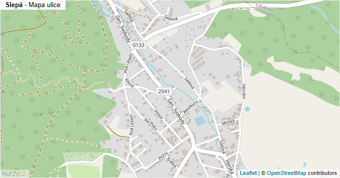 Slepá - mapa ulice