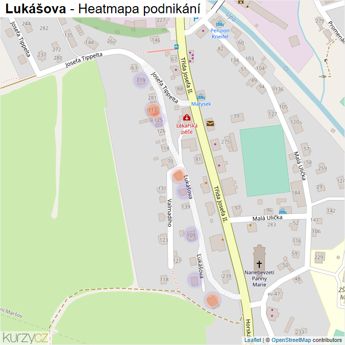 Mapa Lukášova - Firmy v ulici.
