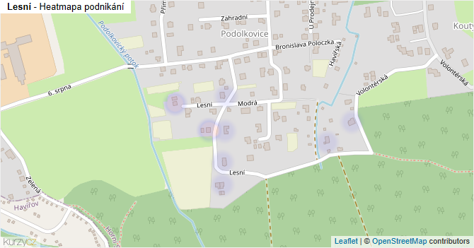 Lesní - mapa podnikání