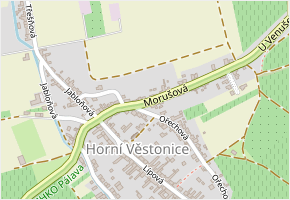 Morušová v obci Horní Věstonice - mapa ulice