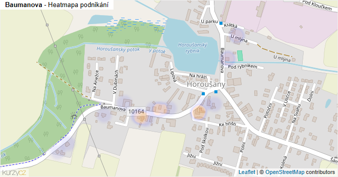 Baumanova - mapa podnikání