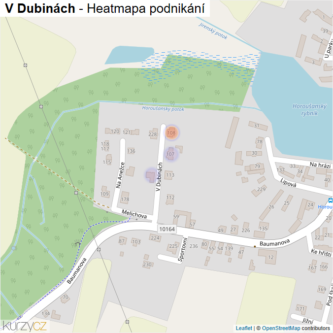 Mapa V Dubinách - Firmy v ulici.
