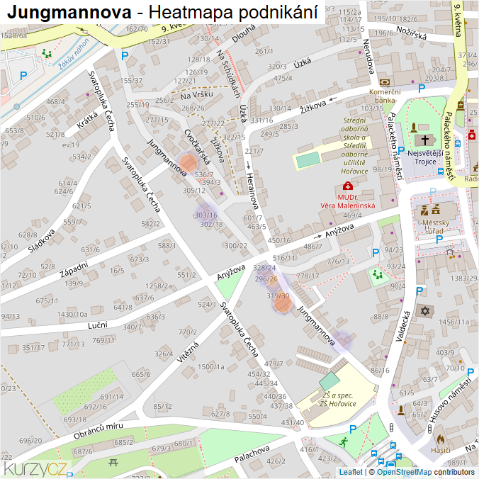 Mapa Jungmannova - Firmy v ulici.
