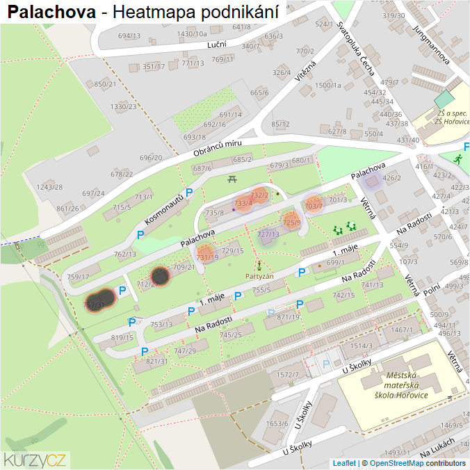 Mapa Palachova - Firmy v ulici.
