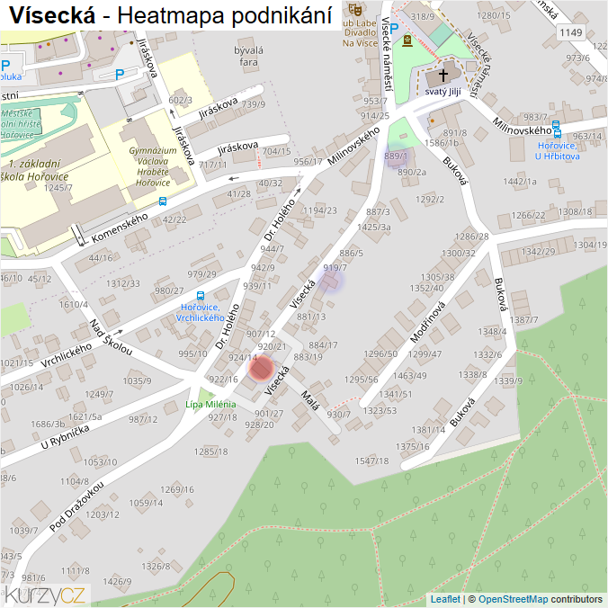 Mapa Vísecká - Firmy v ulici.