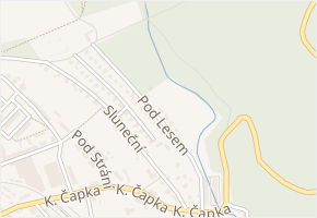 Pod Lesem v obci Hostinné - mapa ulice