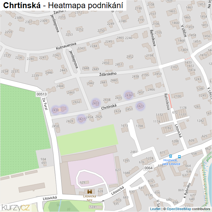 Mapa Chrtínská - Firmy v ulici.