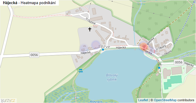 Hájecká - mapa podnikání
