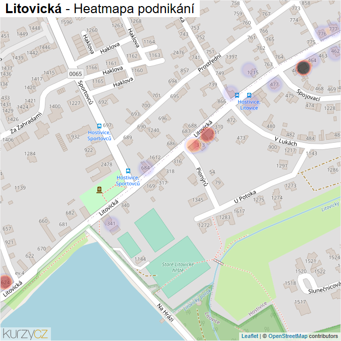 Mapa Litovická - Firmy v ulici.