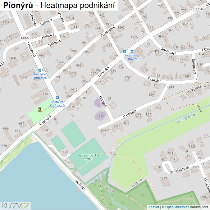 Mapa Pionýrů - Firmy v ulici.